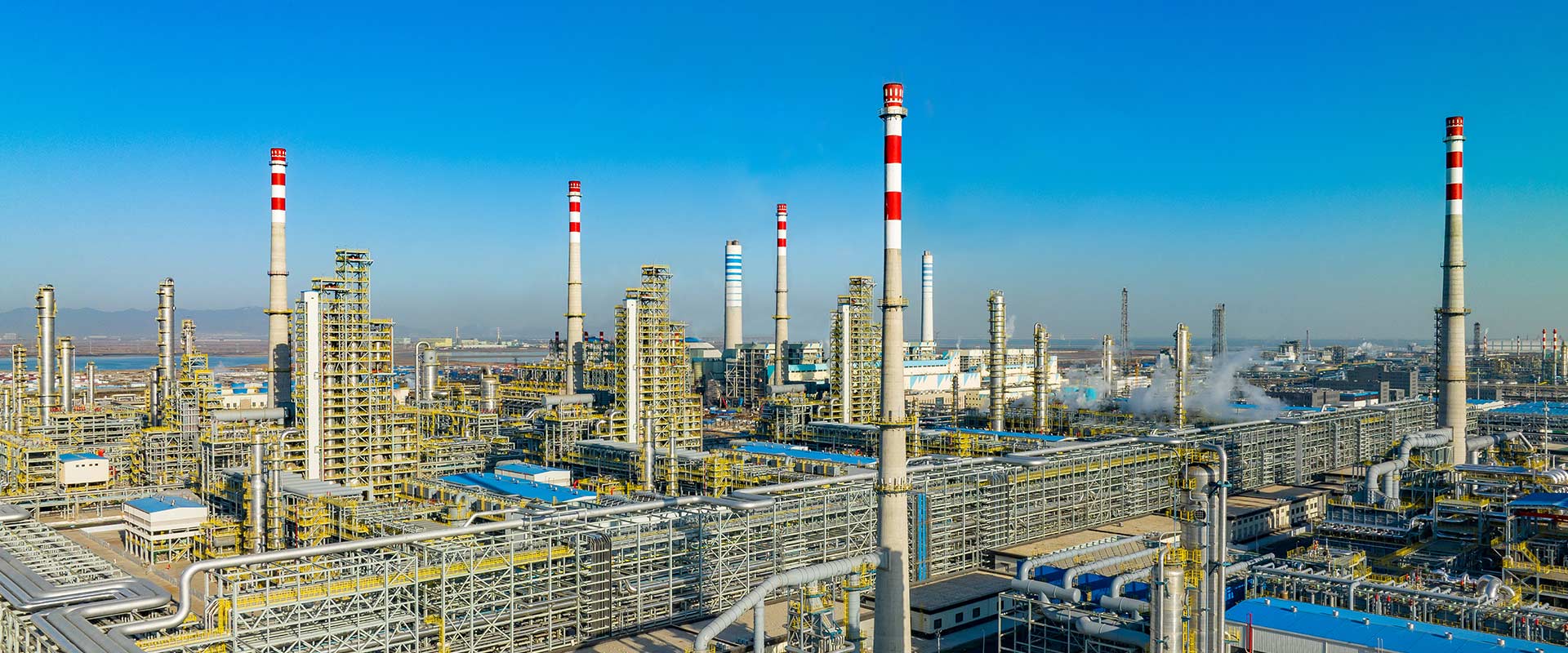 91在线无精精品秘 入口