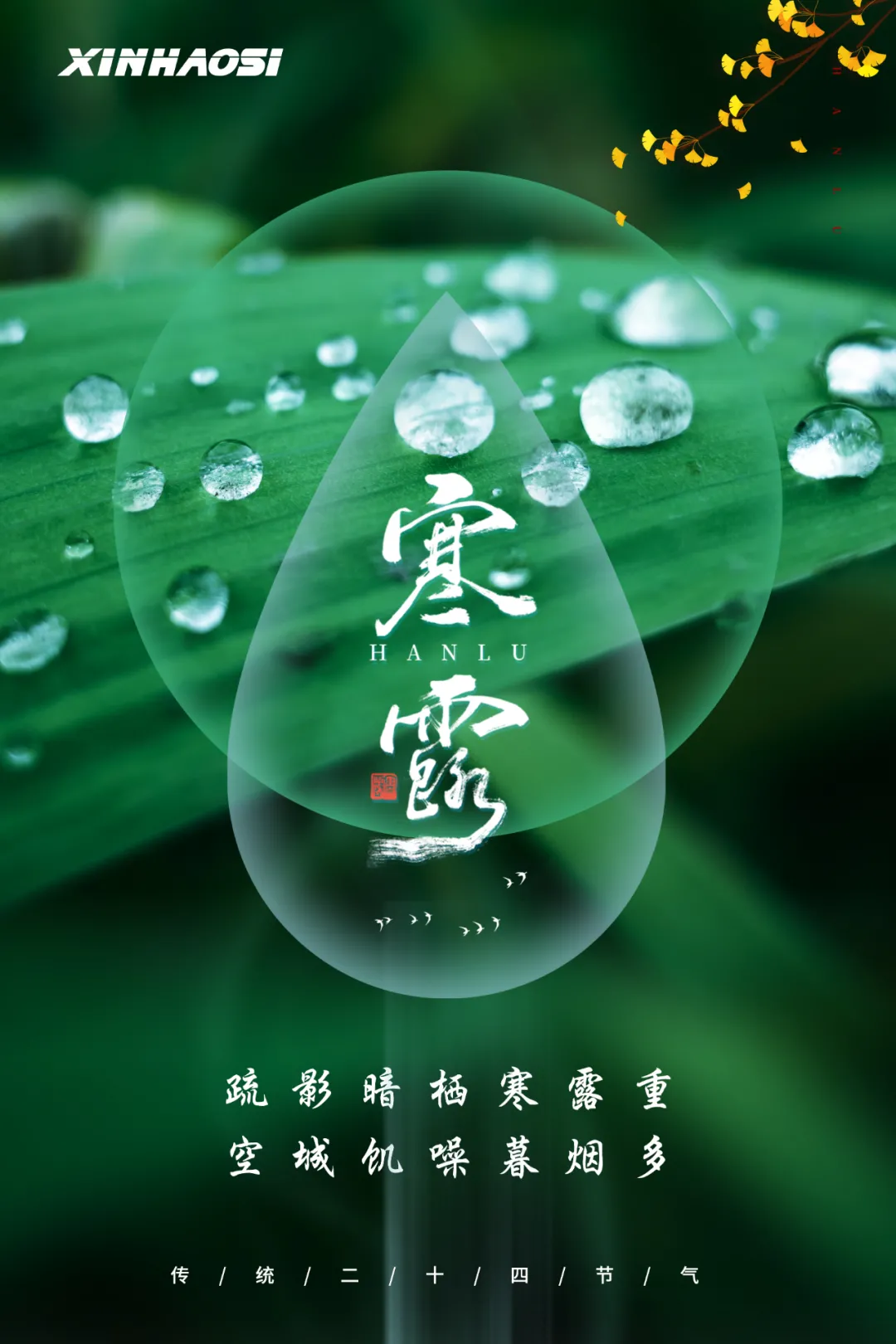 寒露 | 秋意渐浓，气爽风凉