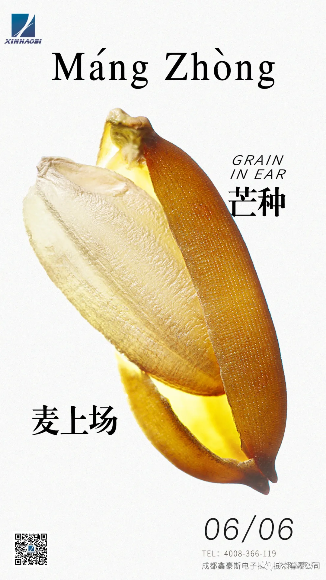 时雨及芒种，四野皆插秧