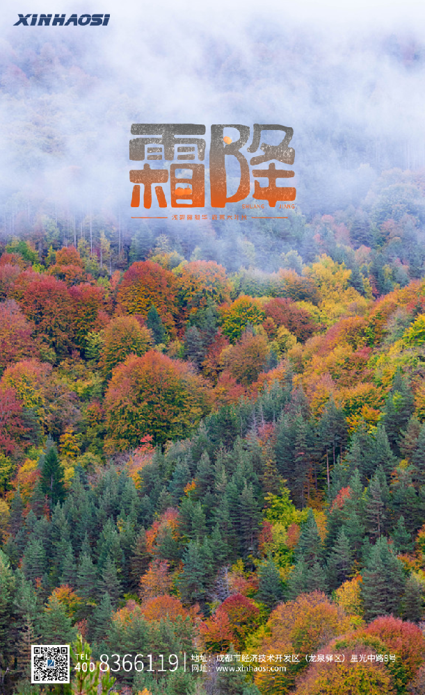 霜降丨轻霜一场，归家添衣