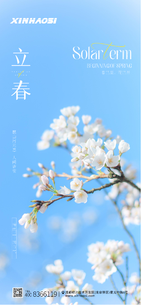 立春丨春已至，花已开