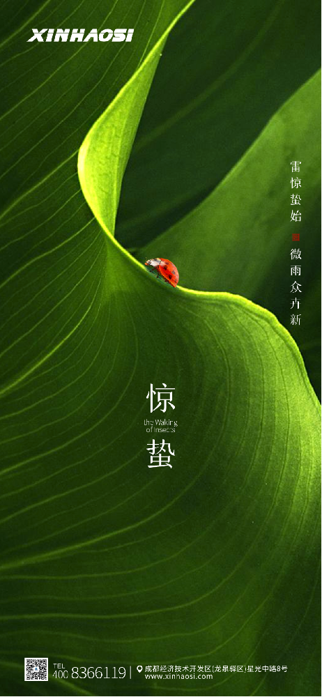 一雷惊蛰始，微雨众卉新