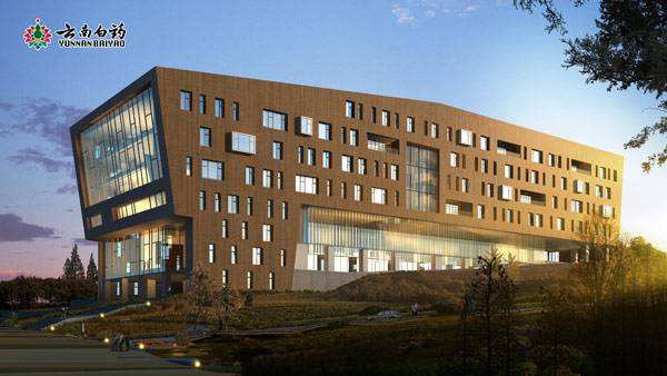 云南白药集团有限公司-气体泄漏监控系统工程案例