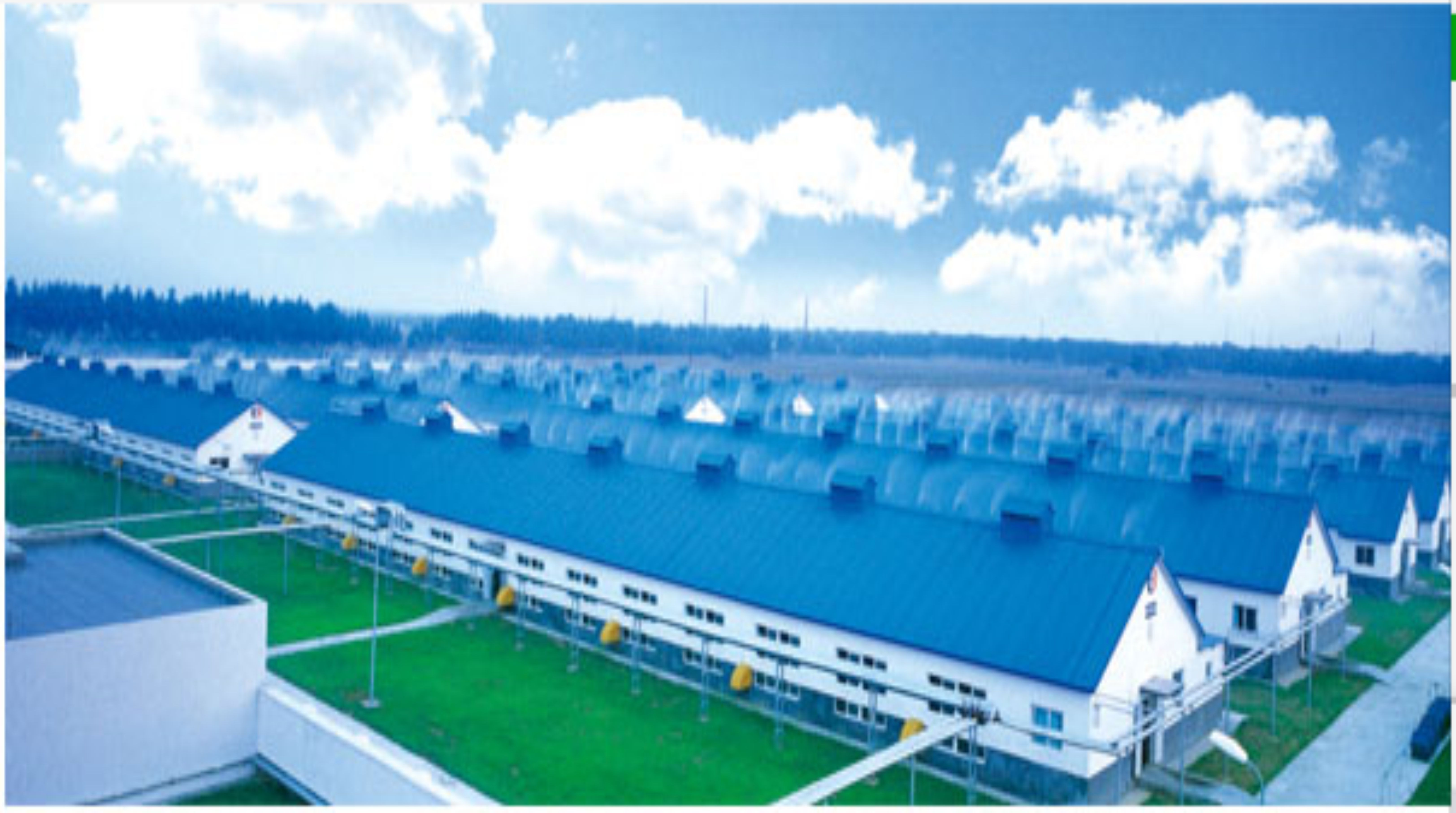 双汇万中禽业-气体泄漏监控系统工程案例